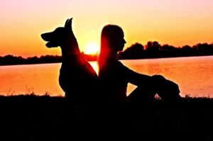 Dog Love: a woman and a dog back-to-back at sunset