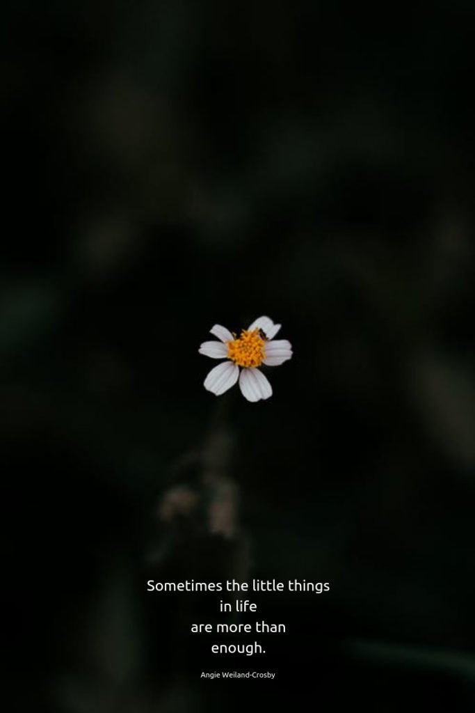 inspirational quote with a tiny daisy...