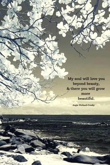 Love Quotes To Romance The Soul Mom Soul Soothers