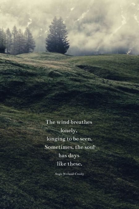 soulful quote with a field, fog, & trees....The wind breathes lonely, longing to be seen. Sometimes, the soul has days like these.
