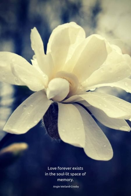 grief quote with a white flower....Love forever exists in the soul-lit space of memory.