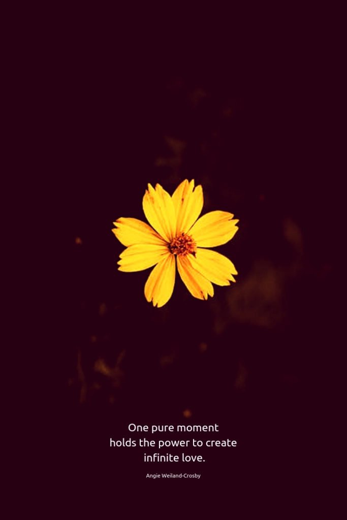 soulful quote with a yellow flower...One pure moment holds the power to create infinite love.