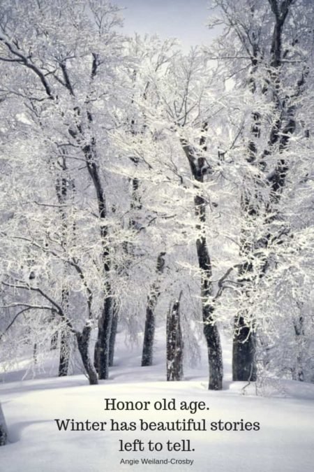trees in the snow with a winter quote....Honor old age. Winter has beautiful stories left to tell.