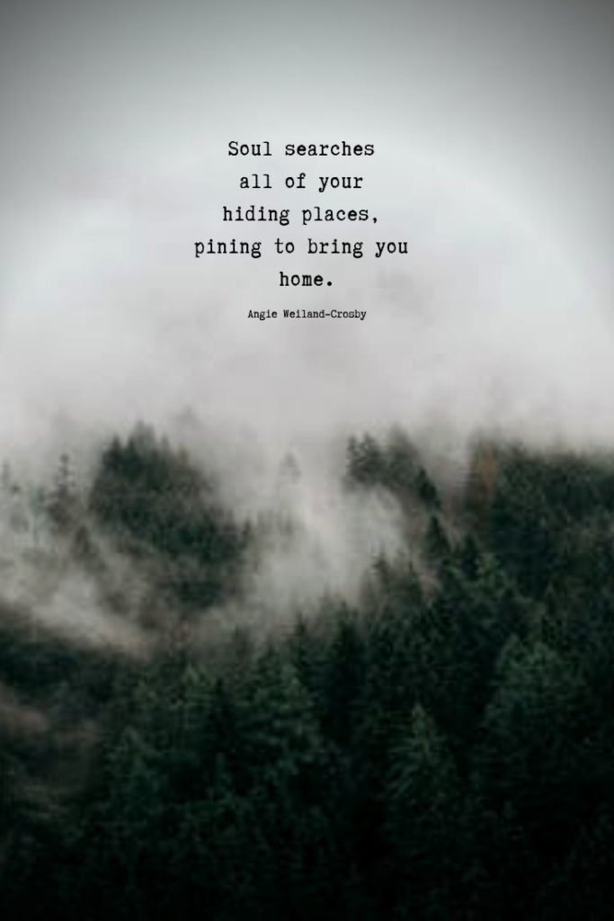 soulful quote with trees and fog...