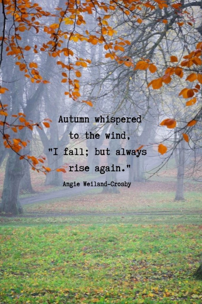 Image result for autumn inspirational quotes