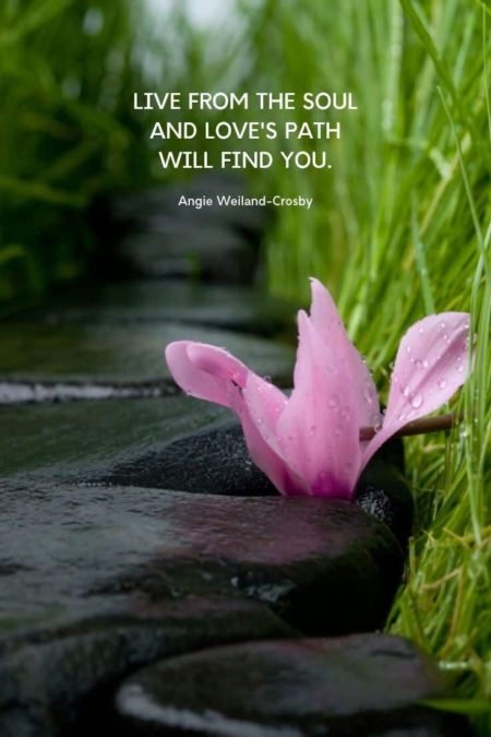 soul quotes | love quotes | mindfulness quote | a pink flower with a stone path and grass...