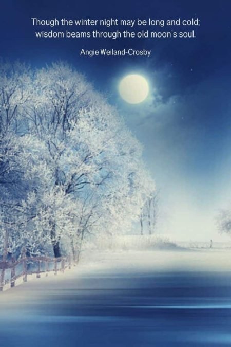 a beautiful winter night landscape with snow and a full moon...