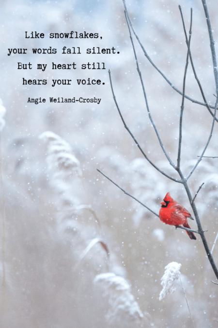 a cardinal in the snowfall...