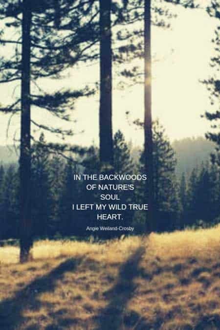 nature quotes | soul quotes | inspirational nature quotes | wanderlust quotes | a picture of nature with the backwoods | 