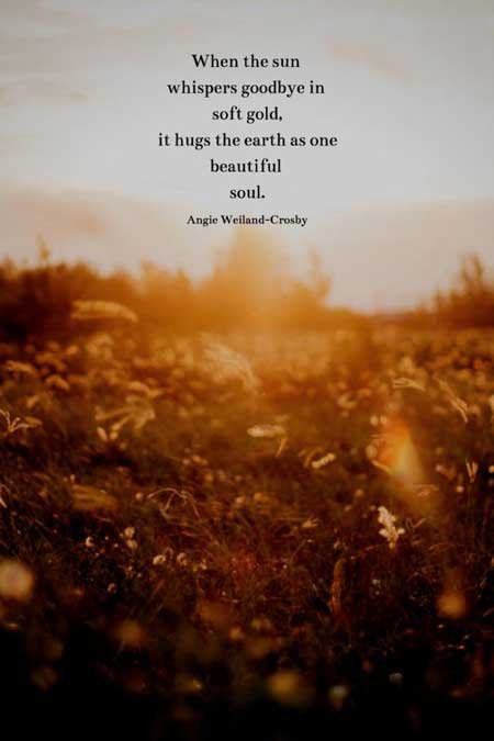 nature quote with a sunset...
