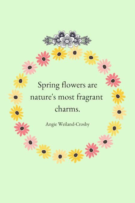 flower quotes | spring quotes | 