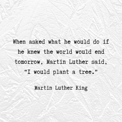 Martin Luther King tree planting quote...