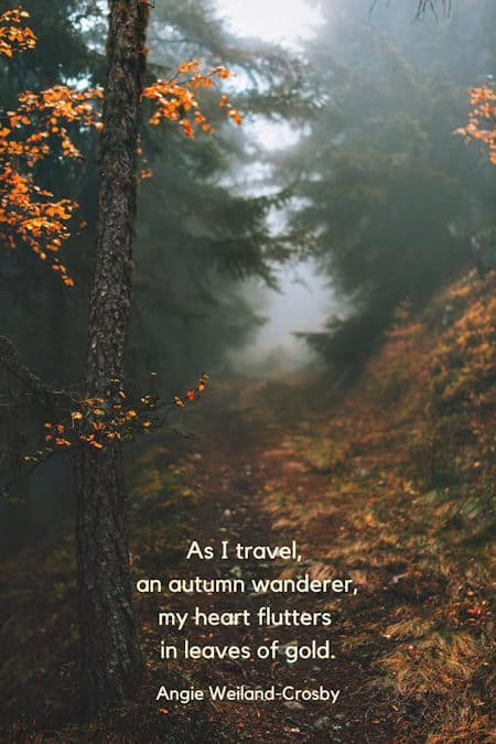 fall quote with a foggy path and trees with gold leaves by Eberhard Grossgasteiger...