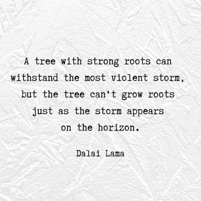 Dalai Lama quote about a tree and storms...