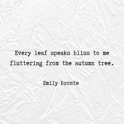 tree poetry by Emily Bronte...