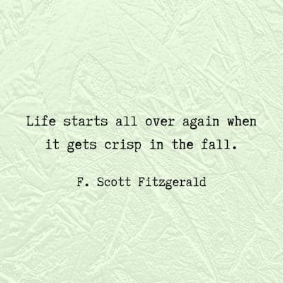 F. Scott Fitzgerad fall quote...
