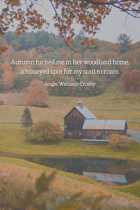 autumn quote with a rustic house and woods...Photo by Eric Chen