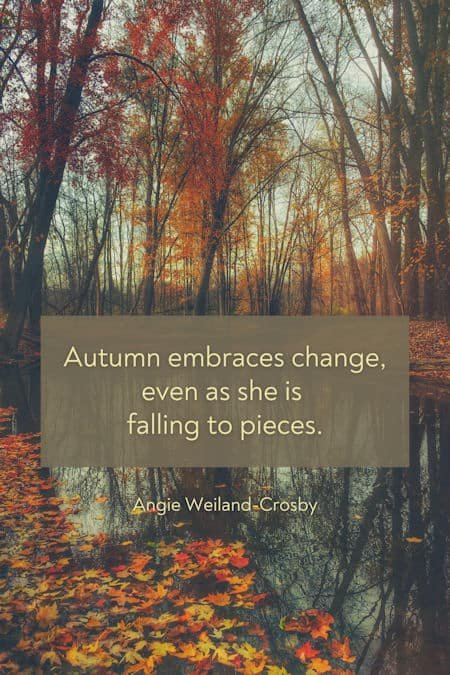 inspirational autumn quote with leaves falling...