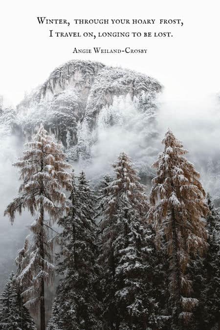 wanderlust winter quote and winter photography of mountains, trees, and snowfall by Eberhard Grossgasteiger