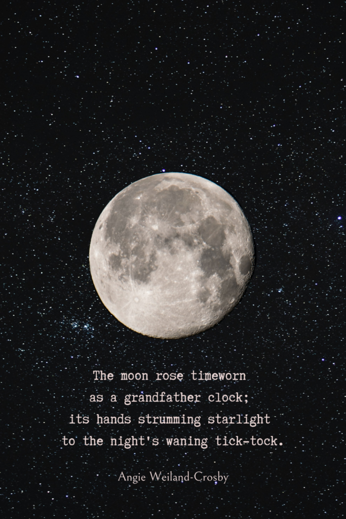 wisdom quote with a full moon...