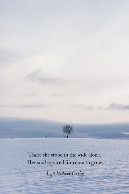soul quote with a winter setting and a tree | Photo by Mat Reding