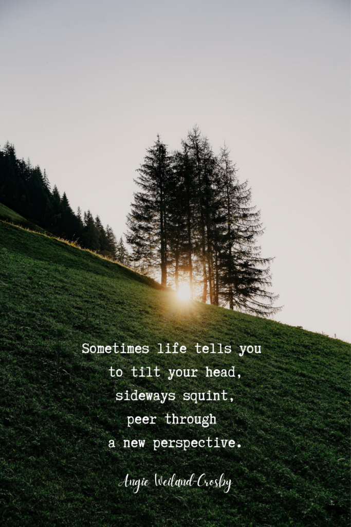growth quote with a sunset and trees | Photo by Eberhard Grossgasteiger