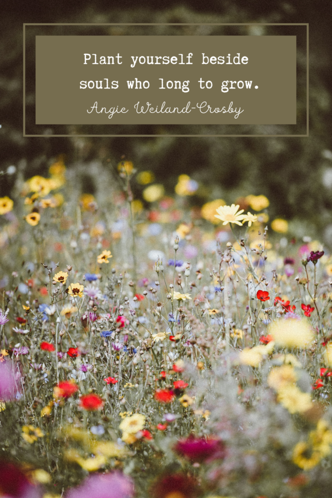 inspirational spring quote with wildflowers | Photo by Annie Spratt
