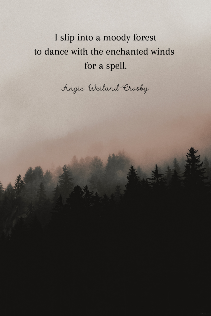 forest quote with pines and fog | Photo by Eberhard Grossgasteiger 