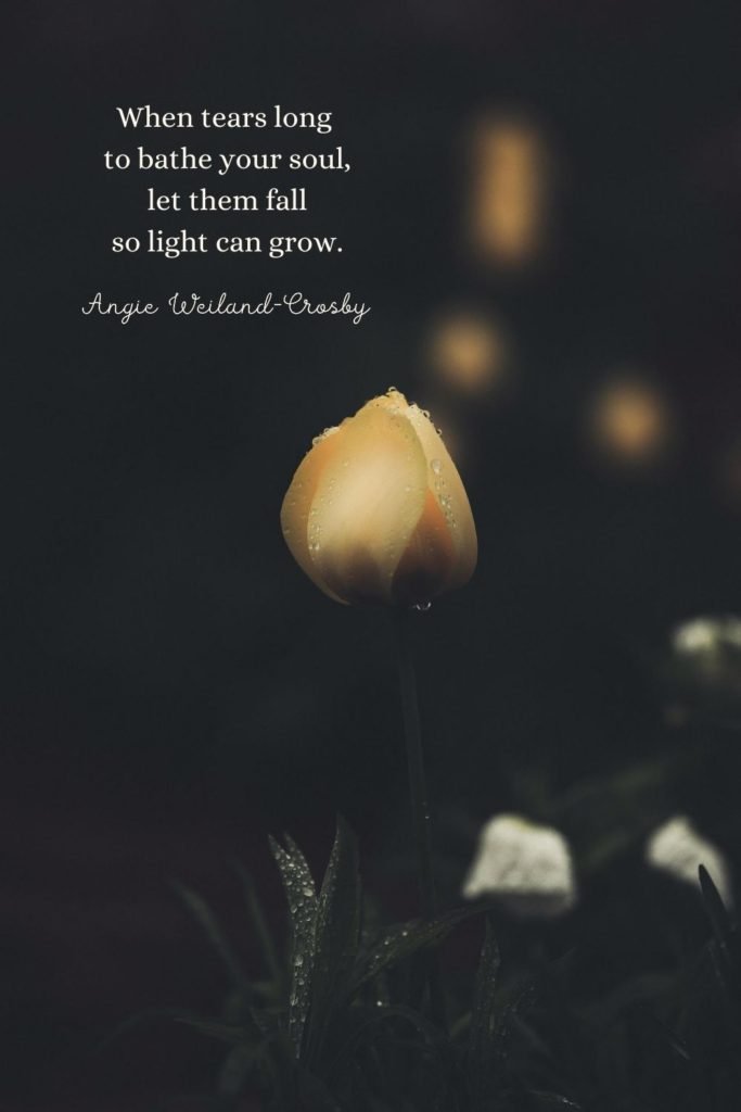 motivational quote with a yellow rose | Photo by Eberhard Grossgasteiger