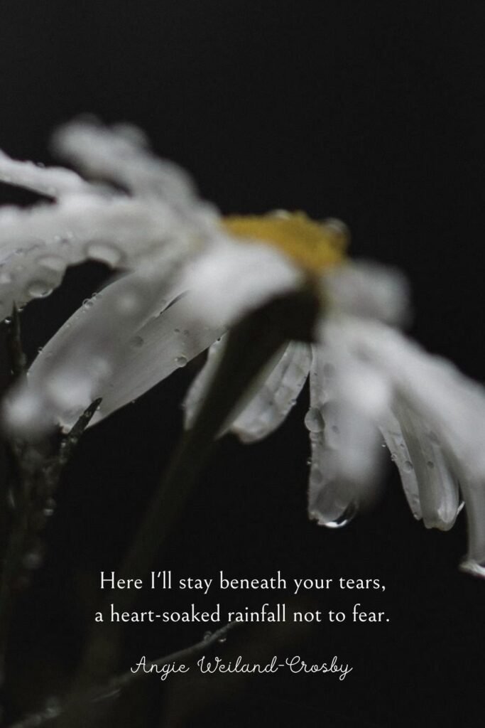 Humanity Quote with a daisy and raindrops by Eberhard Grossgasteiger