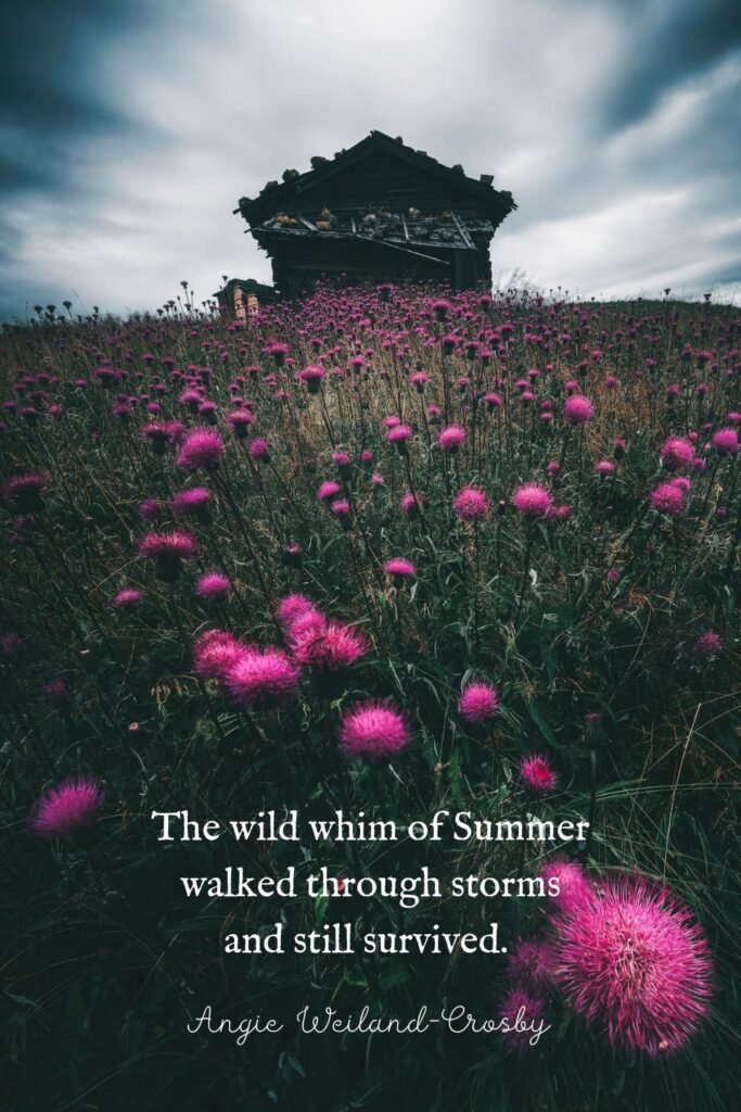 Summer Quote with Nature Photography of a wildflower meadow and old house by Eberhard Grossgasteiger