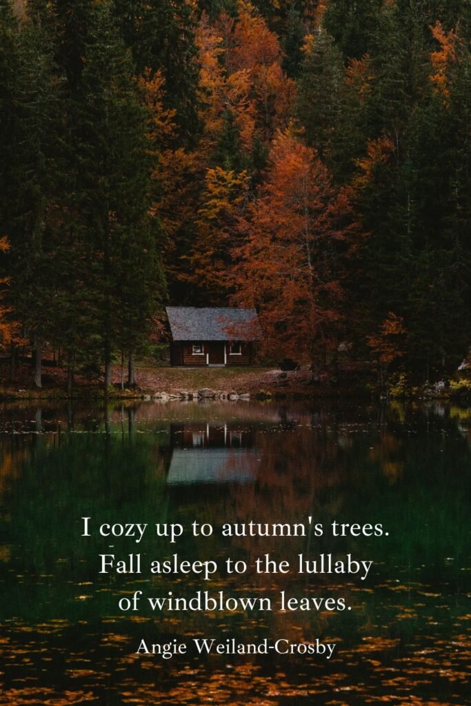 Autumn Nature Photography of a Fall Forest and a Cabin by Saso Tusar