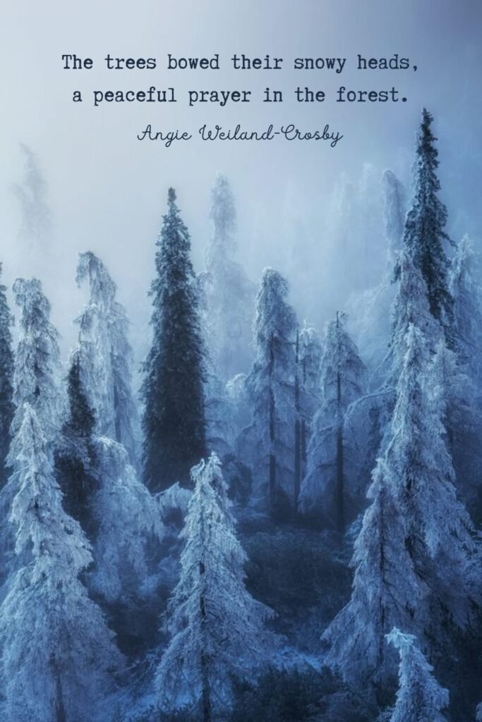 snow quote with a winter forest by Ales Krivec